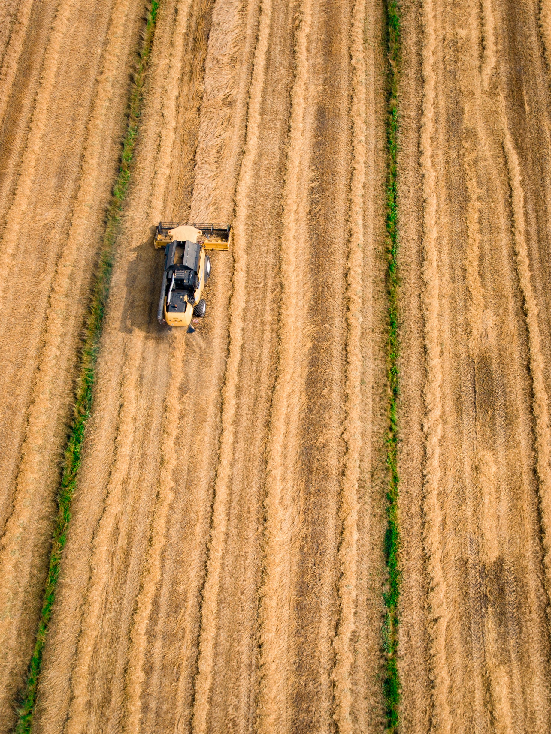 Photo de champs avec un tracteur labourant.